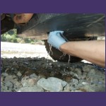 DSCF2023.JPG